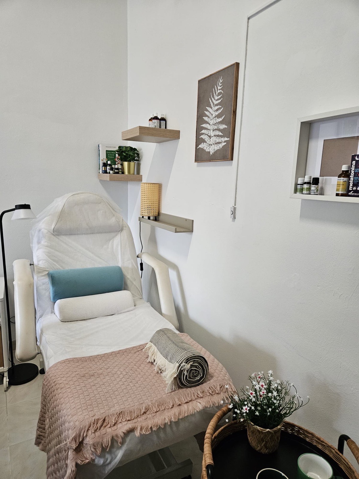 Espaço de tratamento do consultório, cadeira clínica com pormenor de samambaia e luz natural
